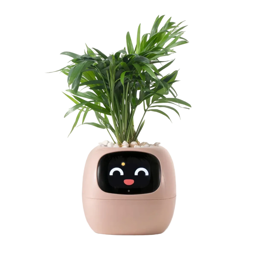 Ivy Smart Pot – AI-Powered Smart Planter with Sensors & Interactive Expressions
