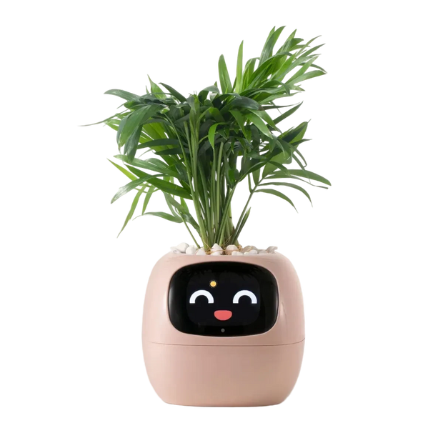 Ivy Smart Pot – AI-Powered Smart Planter with Sensors & Interactive Expressions