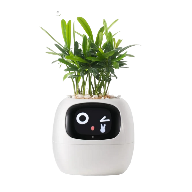 Ivy Smart Pot – AI-Powered Smart Planter with Sensors & Interactive Expressions