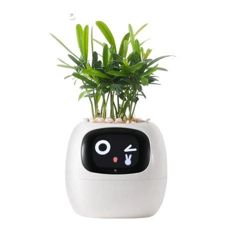 Ivy Smart Pot – AI-Powered Smart Planter with Sensors & Interactive Expressions