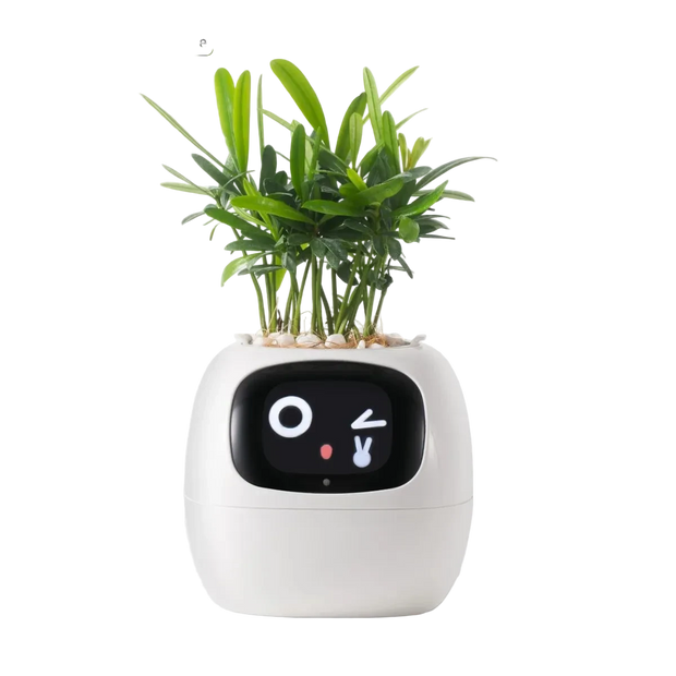 Ivy Smart Pot – AI-Powered Smart Planter with Sensors & Interactive Expressions
