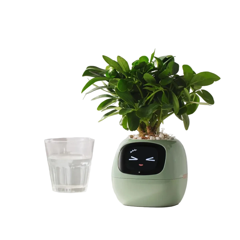 Ivy Smart Pot – AI-Powered Smart Planter with Sensors & Interactive Expressions
