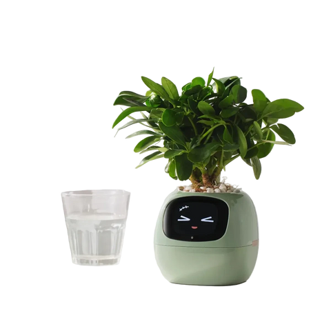 Ivy Smart Pot – AI-Powered Smart Planter with Sensors & Interactive Expressions
