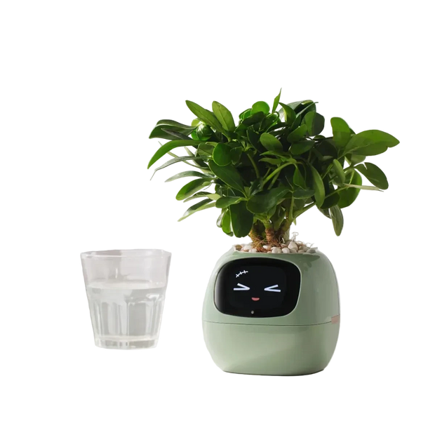 Ivy Smart Pot – AI-Powered Smart Planter with Sensors & Interactive Expressions